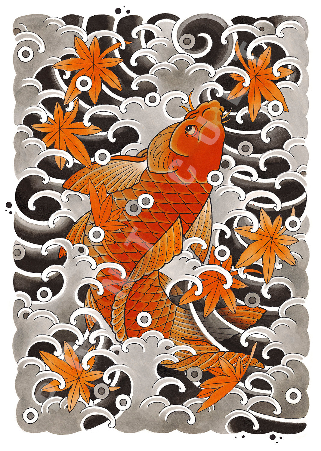 Orange Koi in Water