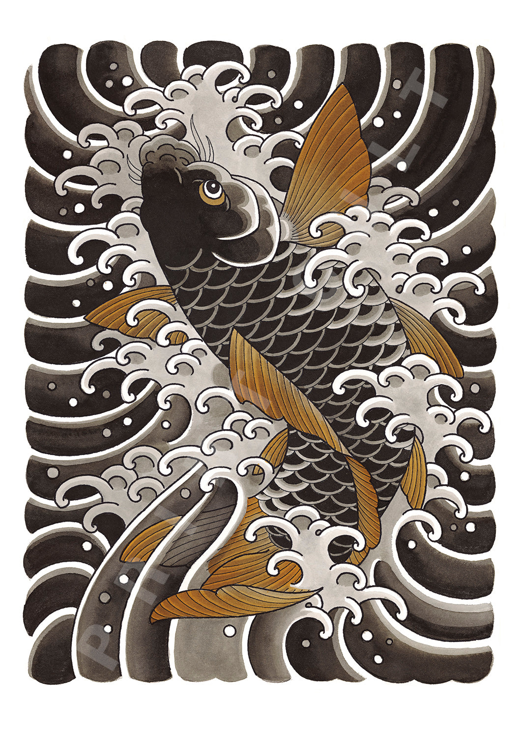 Koi in Water