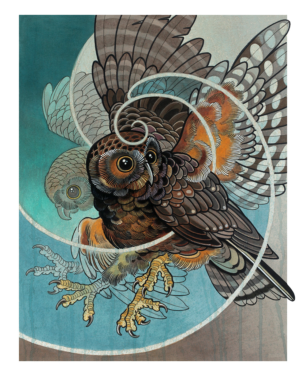 NZ Birds