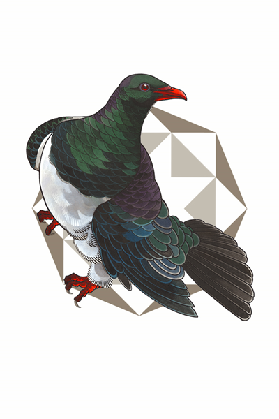 DS - 2021 Kereru