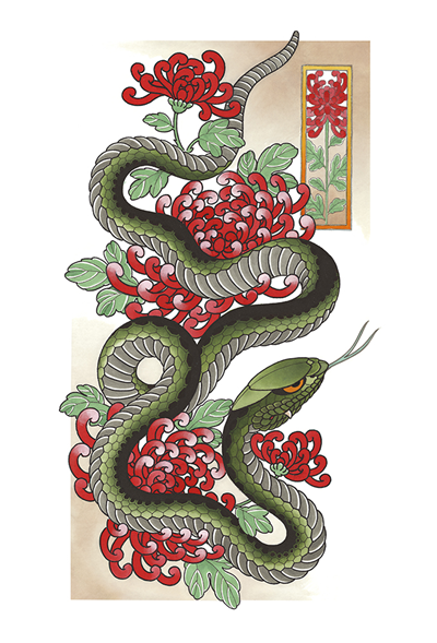 DS - Snake Chrysanthemum 