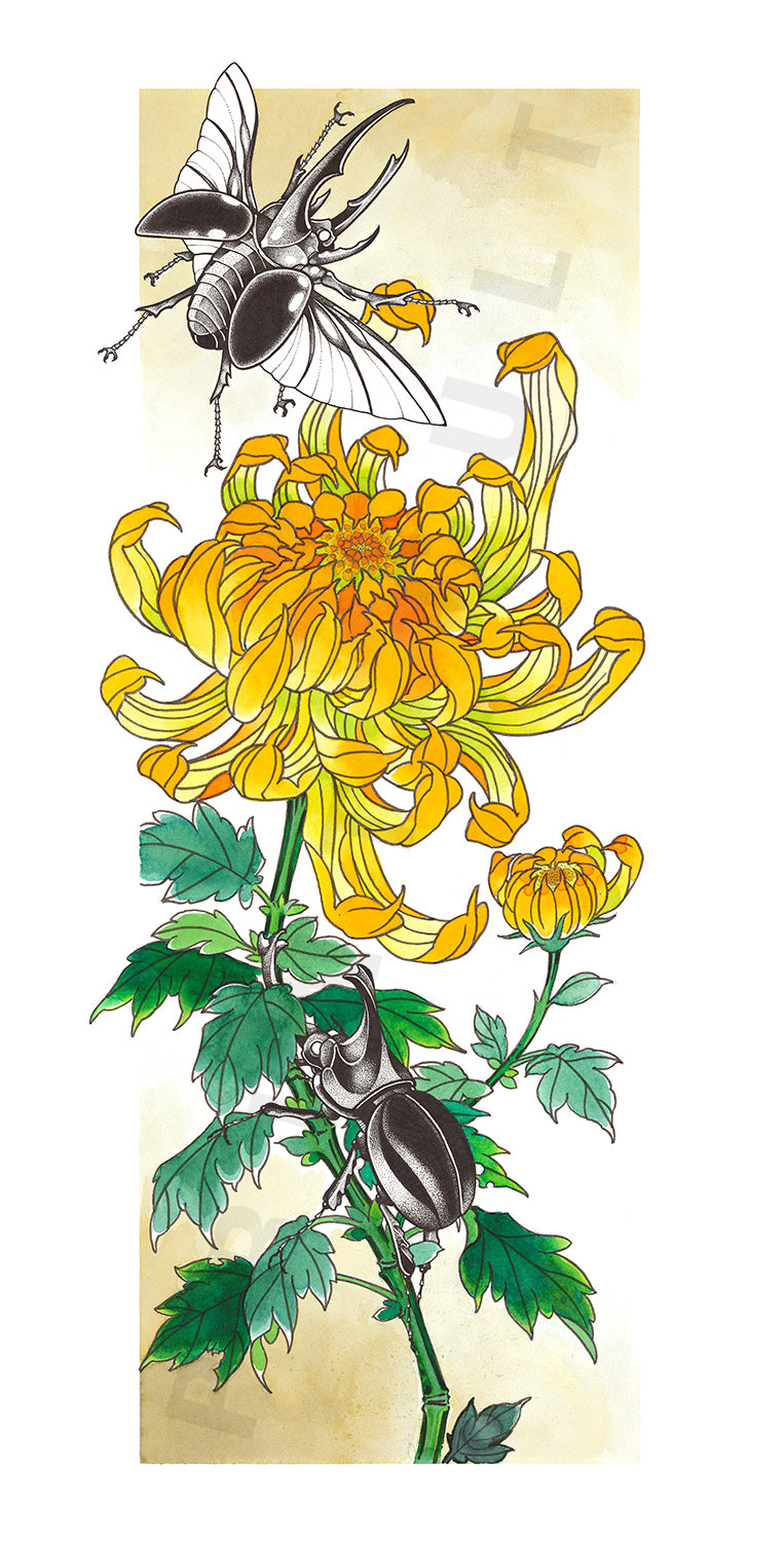 Chrysanthemum Bug