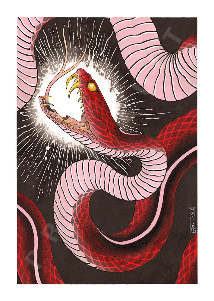 Year of the Snake Exhibition - Snake in Light