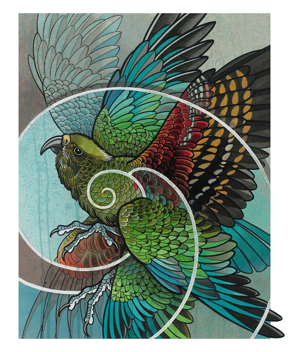 NZ Birds