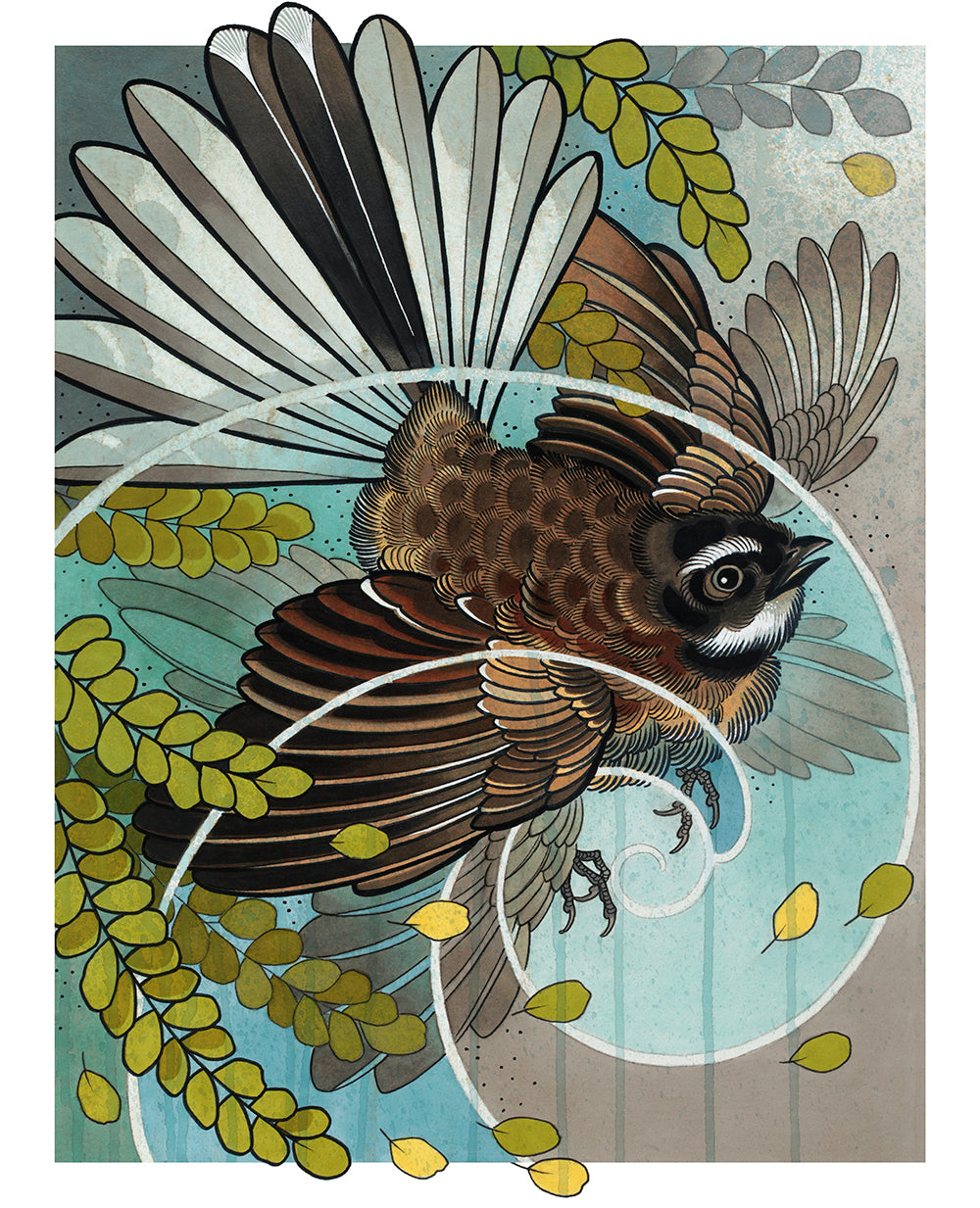 NZ Birds