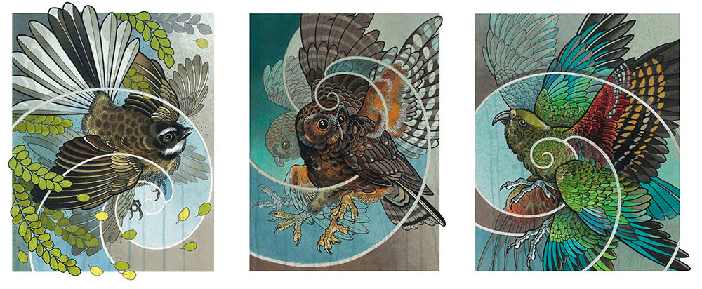 NZ Birds