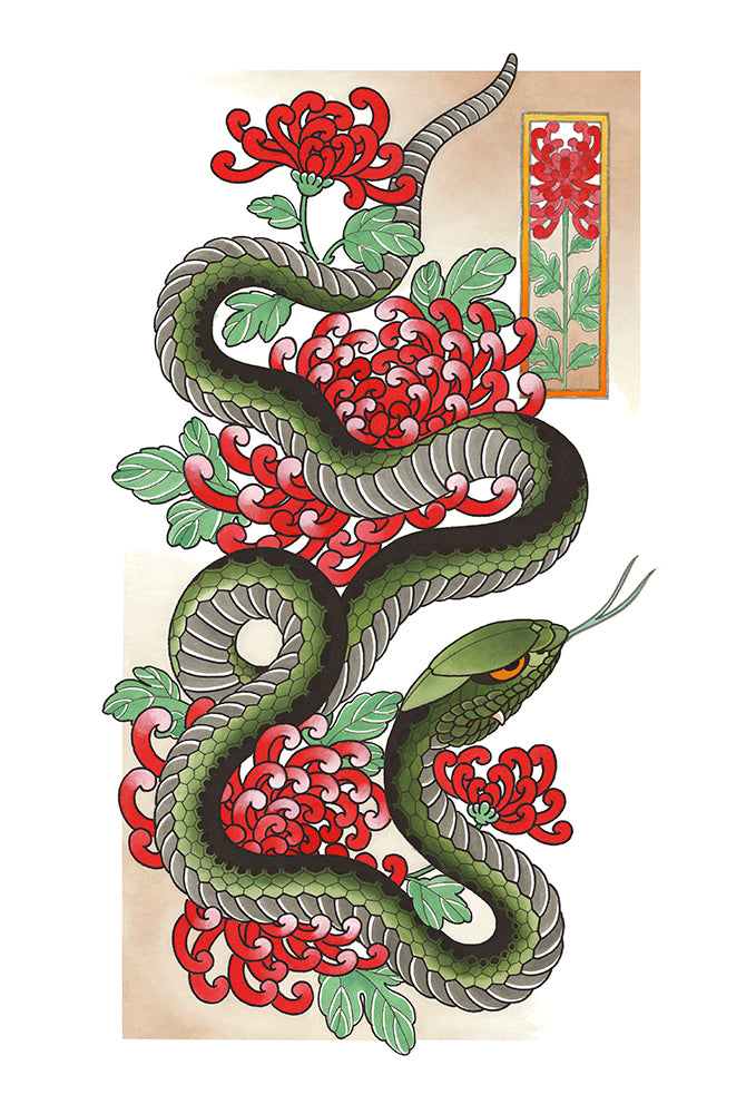 Snake Chrysanthemum